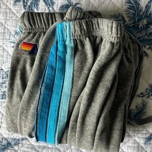 Aviator Nation Blue Stripes Sweatpants